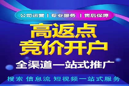 百度推广的精准营销案例解析